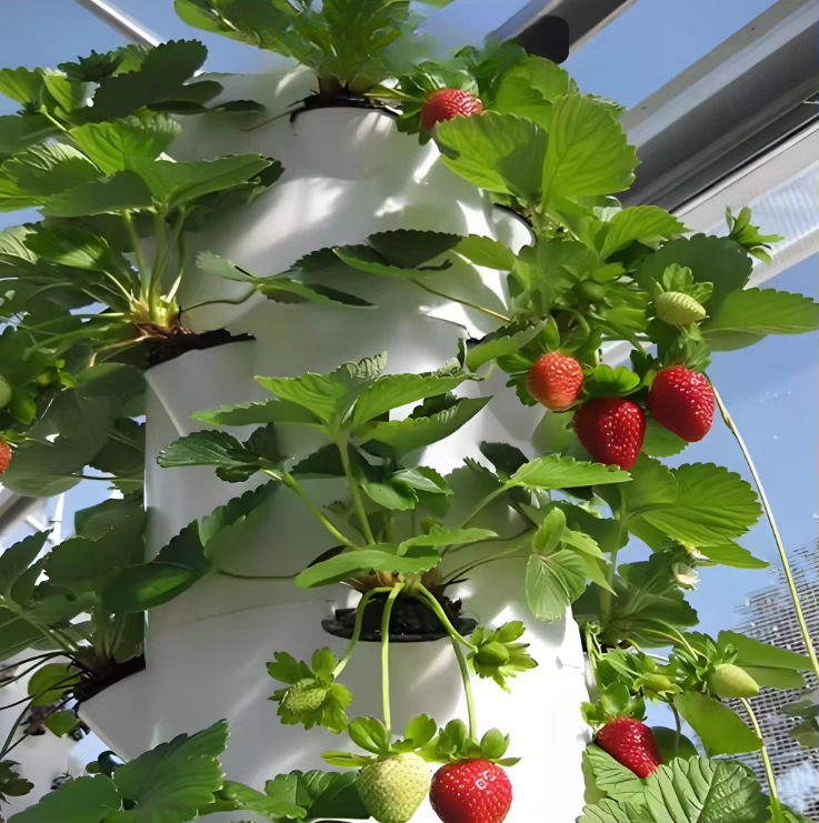 Modular hydroponic growth wall - Urban Farming Garden 评论和价格