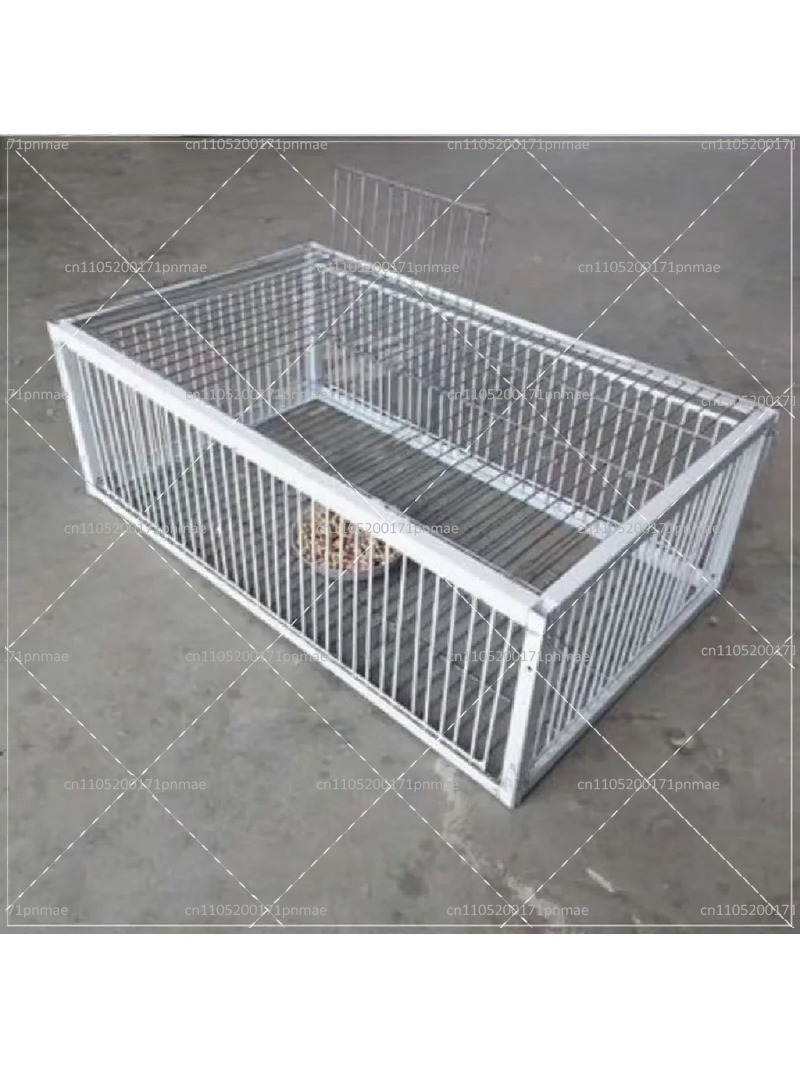 Professional Multifunctional B - Urban Farming Garden 评论和价格