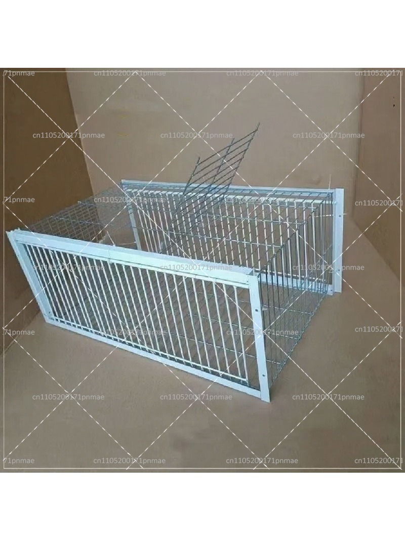 Professional Multifunctional B - Urban Farming Garden 评论和价格